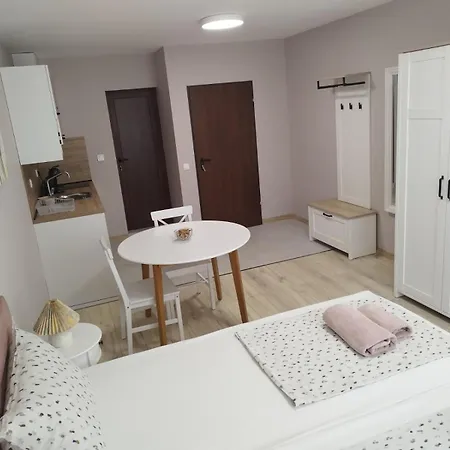 Borisun With Free Parking Space 公寓 *